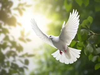 Fotobehang Peace illustrated by white dove. Green branch. Peace concept. © Allistair/Peopleimages - AI