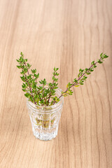 Glass with sprigs of thyme on a wooden background.