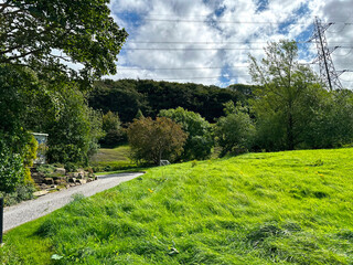 Rural scene, with grassland, old trees, buildings and a driveway near, Cliffe Villas, Cottingley, UK