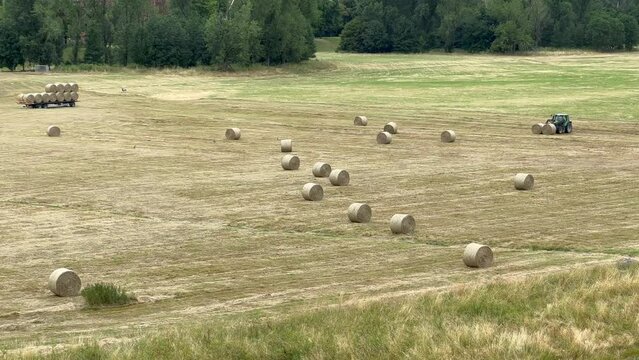 Heuballen werden von einem Frontlader Traktor auf einer weitl&auml;ufigen Wiese eingesammelt und auf einen Anh&auml;nger beladen