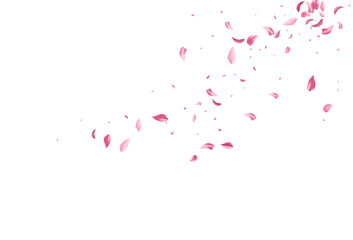 Red Sakura Spring Vector White Background. - obrazy, fototapety, plakaty