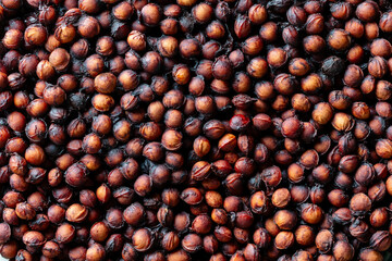 Lots of sour cherry pits as a background closeup. Texture of dried cherry kernels. Top view