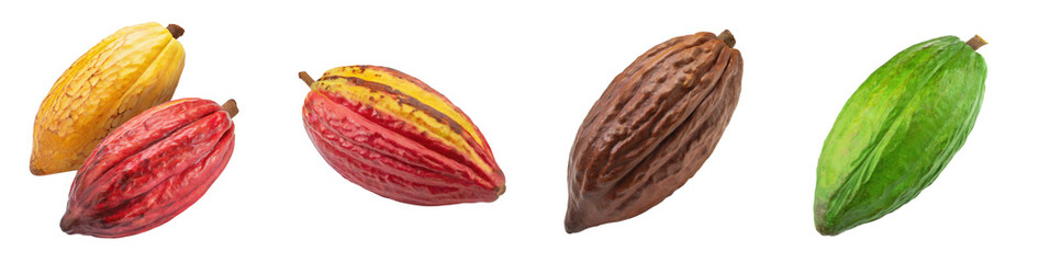 Set of whole, red and yellow ripe cocoa beans, isolated on a transparent background with a PNG cutout or clipping path.
