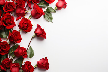 Red roses on white background, valentine's day concept.