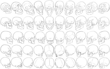 50 Skulls - Digital Art (3D to 2D)