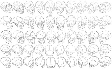 Obraz premium 50 Skulls - Digital Art (3D to 2D)