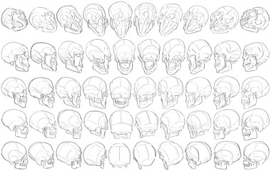 50 Skulls - Digital Art (3D to 2D)
