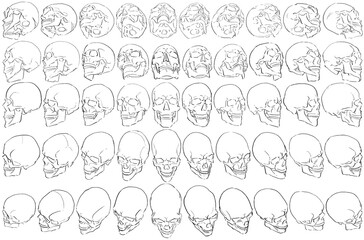50 Skulls - Digital Art (3D to 2D)