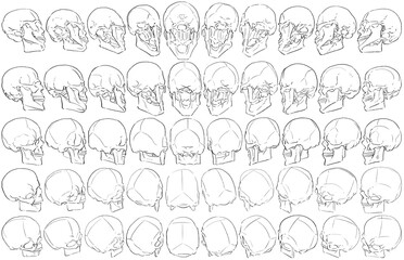 50 Skulls - Digital Art (3D to 2D)