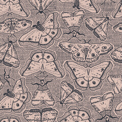 Esoteric butterflies or moth bugs repeat pattern. Dark and mystic insect design for Halloween and fall. Black and pink alchemy illustration with witchcraft and sorcery feel.