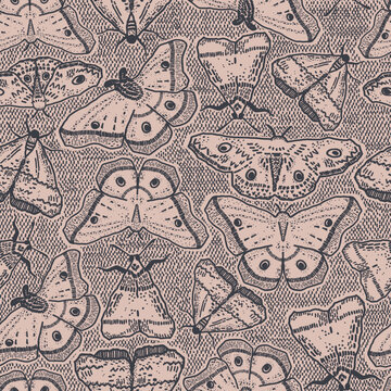 Esoteric butterflies or moth bugs repeat pattern. Dark and mystic insect design for Halloween and fall. Black and pink alchemy illustration with witchcraft and sorcery feel.