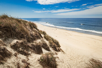 Sand dunes on the beach in the Pacific coast of Oregon