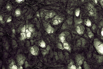 Grungy matted hair closeup halloween background