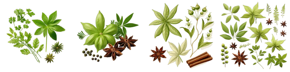 Poster Anise  Herbs And Leaves Hyperrealistic Highly Detailed Isolated On Transparent Background Png File © Wander Taste