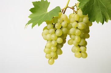 A bunch of white grapes in a bowl