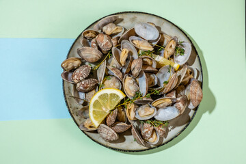 Plate with vongole clams on a bright background, ready-made vongole clams