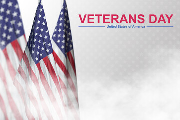 Fototapeta na wymiar Happy veteran's day. Thank you veterans. Honoring all who served. 11th November.
