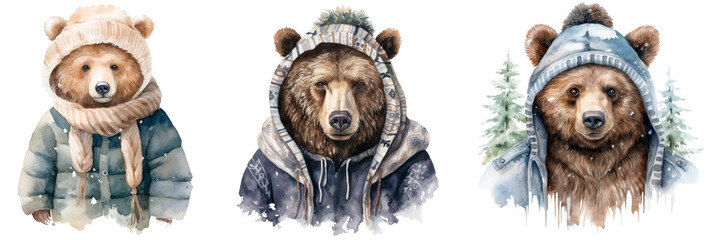 Set of watercolor illustration winter, bear in a hat and jacket, isolated on transparent background - obrazy, fototapety, plakaty