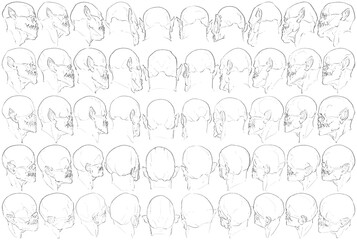 50 Heads - Digital Art (3D to 2D)