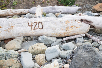 A piece of driftwood on the shore at Harris Beach State Park in Brookings Oregon with a 