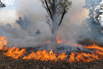 A stunning veld fire in a field in between a suburb and a railway. Showing the death and...