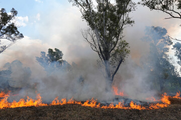 A stunning veld fire in a field in between a suburb and a railway. Showing the death and destruction of an uncontrolled fire. looks like a war scene showing the after effects.