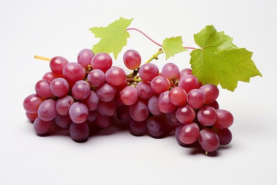 Tidy arrangement of plump grapes on a clean white surface. Generative AI
