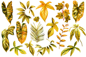 Vintage leaf. Tropical leaves. Watercolor plant illustration on isolated white background. Autumn tropical plant © Hanna