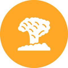 Explosion Icon