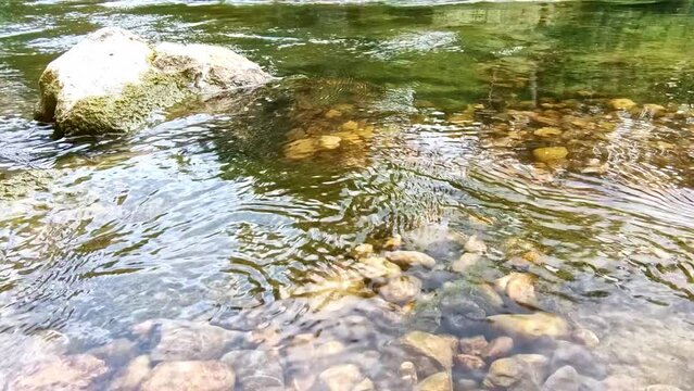 klares seichtes Wasser Fluss, Erfrischung, rein, fliessen, Kieselsteine, Grund, Str&ouml;mung
