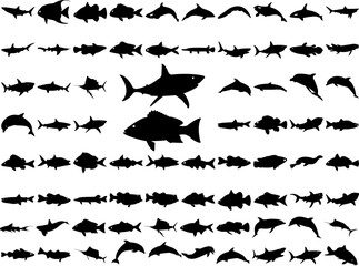 Silhouette fish vector 
 - obrazy, fototapety, plakaty