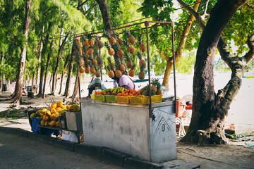 Mauritius Markt mit frischen Früchten