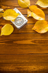 Autumn foliage with a camera on a wooden table.