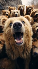 A group of bears taking selfies
