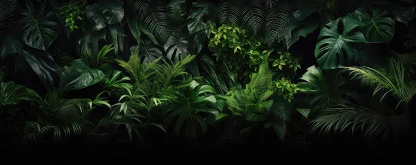 Fotobehang Lush Tropical Rainforest Foliage On Black Background © Anastasiia