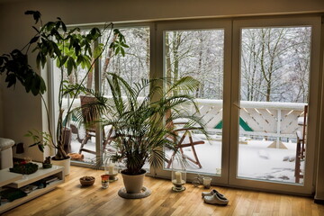wohnen mit grünpflanzen im winter