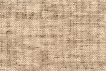 Sackcloth Canvas Woven Texture Pattern In Light Beige