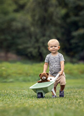 Adorable little boy in garden pushing wheelbarrow with teddy bear. Potato field and forest in...