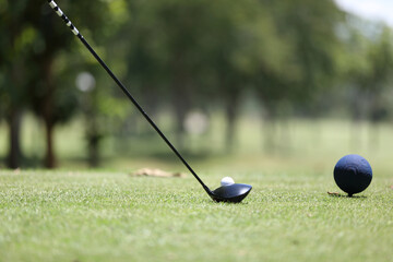 Close up golf ball on green grass