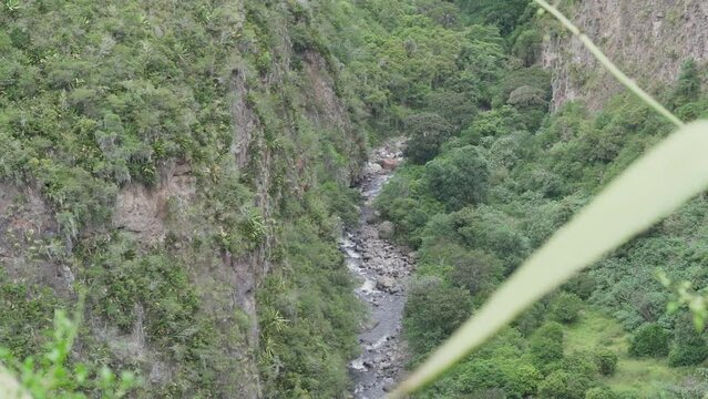 deep valley with rainforst at Oso Andino reserve, a place where spectacled bears can be found in Ecuador.