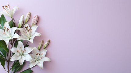  a bouquet of white lilies on a pink background with leaves. generative ai