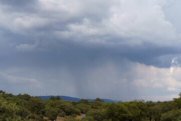 Stormy rain clouds with shades of blue and gray over the forest, it is raining.