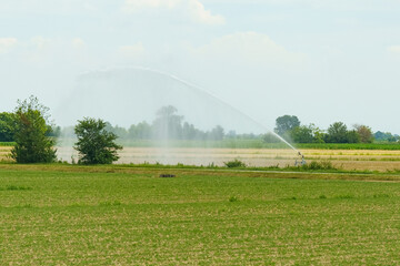 Spraying water from an irrigation system onto a field of agricultural crops.