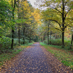 panorama autunnale al parco di Monza