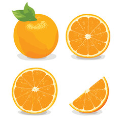 Fruitful Fiesta Vector Orange Illustration