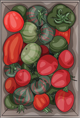 Vector illustration of a box with homemade tomatoes