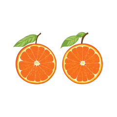 Orchard Delights Vector Design in Orange
