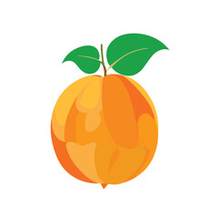 Fiery Brilliance Vector Orange Design Delight