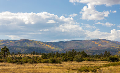 The colors of autumn. Scenic landscape in New Mexico