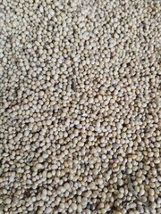 Background of soybean cereal. Close up 